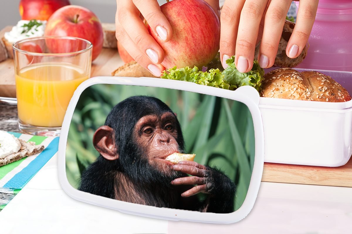 MuchoWow Lunchbox (2-tlg), für Jungs weiß Brotbox und Kunststoff, und Brotdose, Schimpansen-Affe, essender Nahaufnahme Mädchen Kinder für Erwachsene