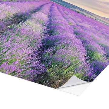 Posterlounge Wandfolie Editors Choice, Lavendel im Sonnenuntergang, Mediterran Fotografie