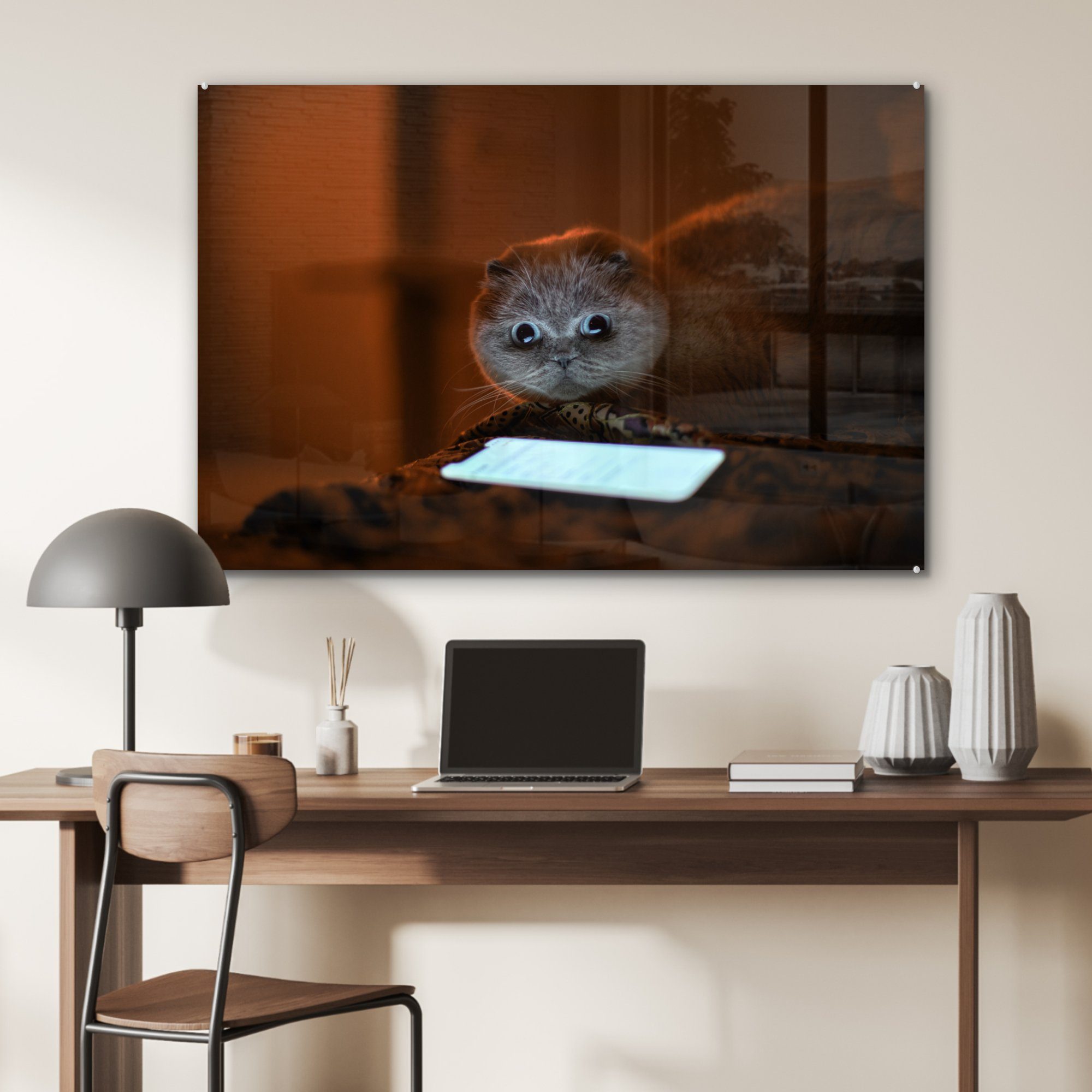 MuchoWow Acrylglasbild Komische ein Acrylglasbilder & auf Katze Telefon, Schlafzimmer Wohnzimmer (1 schaut St)