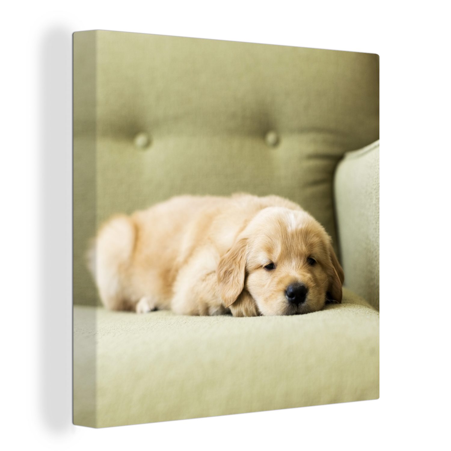 OneMillionCanvasses® Leinwandbild dem Ein Schlafzimmer Leinwand Bilder Sofa, St), für Welpe Retriever Golden (1 schlafender auf Wohnzimmer