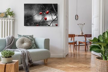 Sinus Art Leinwandbild 120x80cm Wandbild auf Leinwand Wildrosen Gebüsch Rot Schwarz Weiß Foto, (1 St)