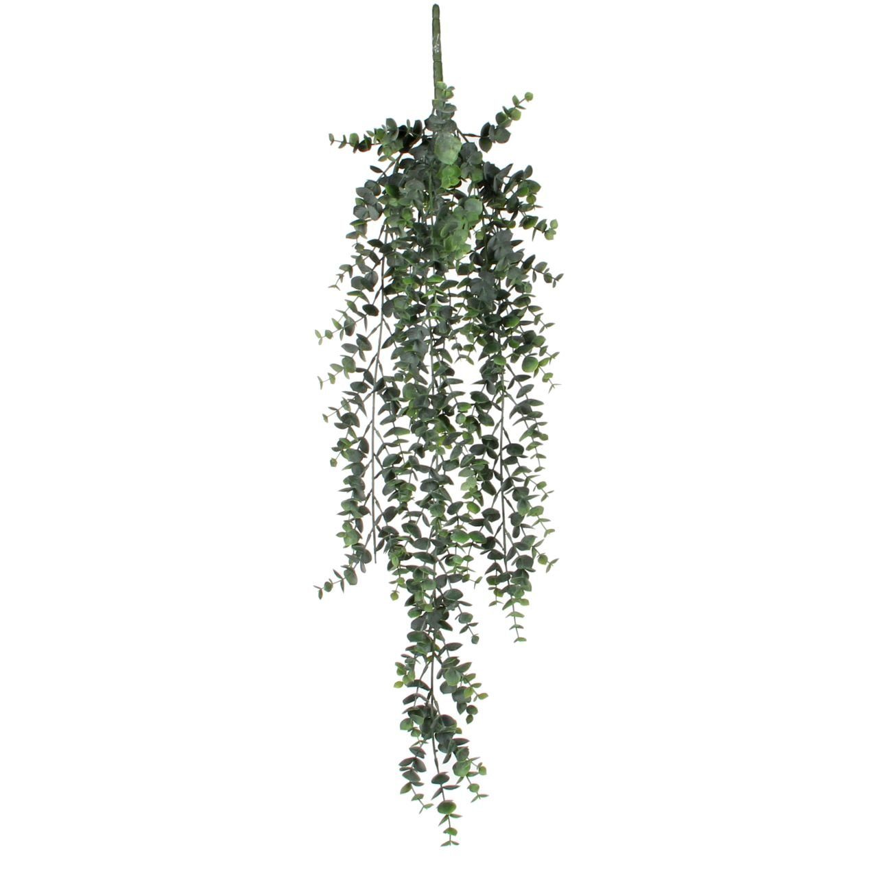 Kunstpflanze Mica künstlicher Eukalyptus Hängend grün 78 cm, Mica Decorations