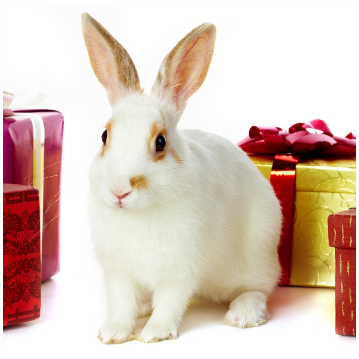 Wallario Tischplatte Süßes Kaninchen mit bunten Geschenken (1 St), für Ikea Lack Tisch geeignet
