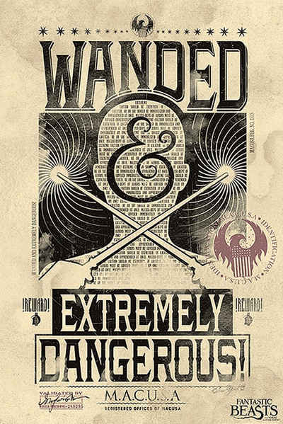 PYRAMID Poster Fantastic Beasts Poster Wanded & Extremely Dangerous 61 x