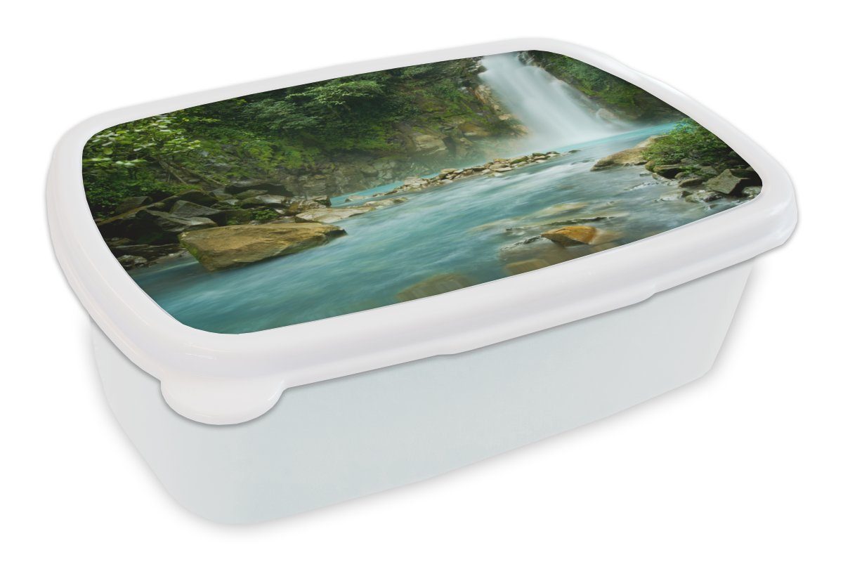 MuchoWow Lunchbox Dschungel - Natur - Wasserfall, Kunststoff, (2-tlg), Brotbox für Kinder und Erwachsene, Brotdose, für Jungs und Mädchen weiß