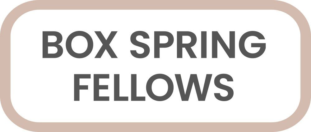 Boxspring Fellows