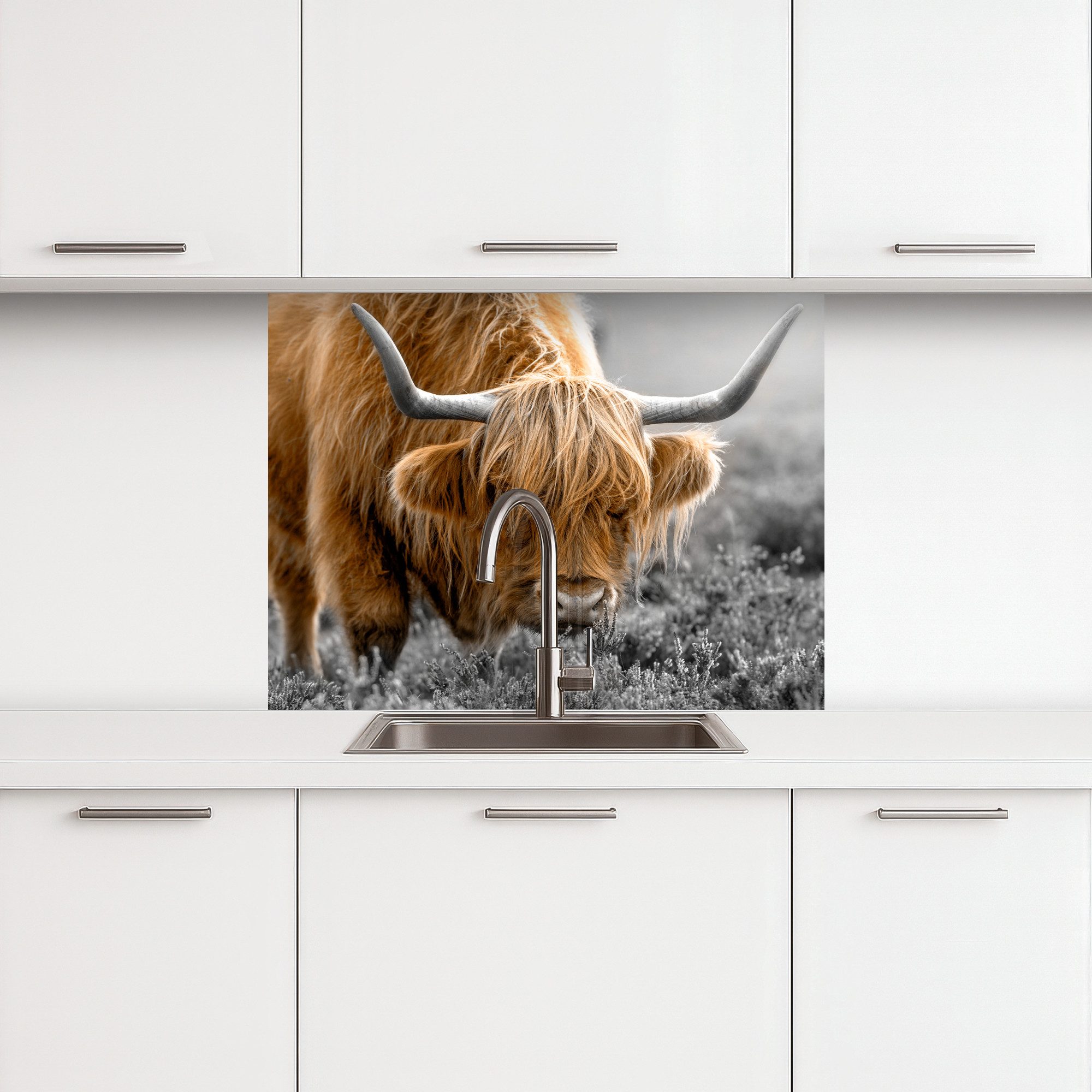 KitchenYeah Küchenrückwand selbstklebend Schottischer Highlander - Tiere - Braun - Kuh - Schwarz, (1-tlg), Spritzschutz, Küche, Rückwand, Küchenwand, Küchenfront, 80x60 cm