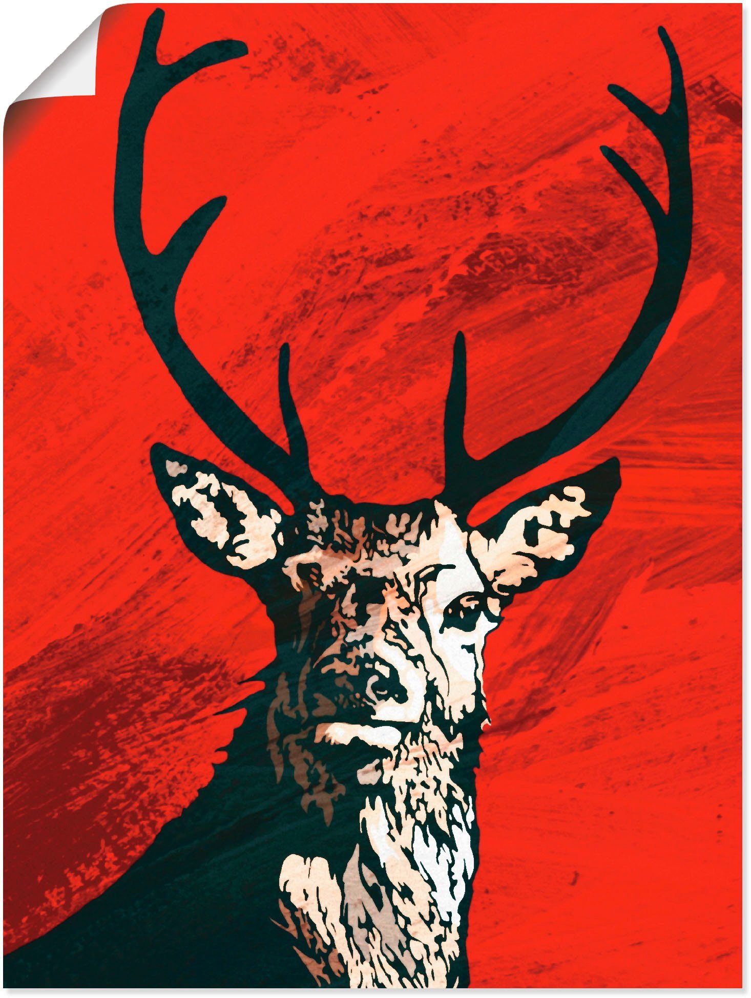 Hirsch, Größen (1 Artland Poster Wandbild als versch. St), oder Leinwandbild, Wildtiere Wandaufkleber in