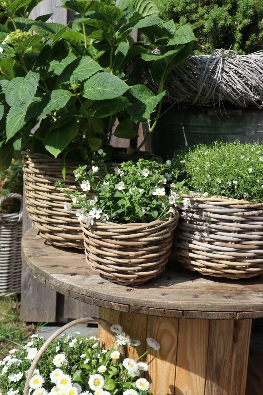 Posiwio Blumentopf 3tlg. Pflanzkorb BRIGHTON grau günstig online kaufen