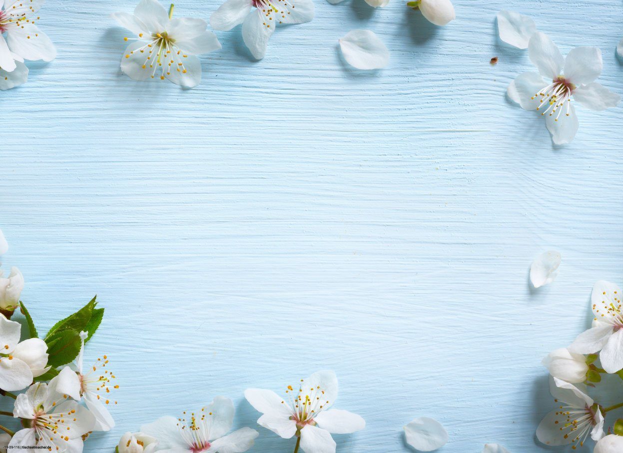 Platzset, »Tischset I Platzset - Frühling und Blumen - Apfelblüten auf  hellblauem Hintergrund - 12 Stück 44 x 32 cm aus Premium Naturpapier in  Aufbewahrungsmappe - die besondere Motto-Tischdekoration«, Tischsetmacher,  (12-St) online kaufen | OTTO