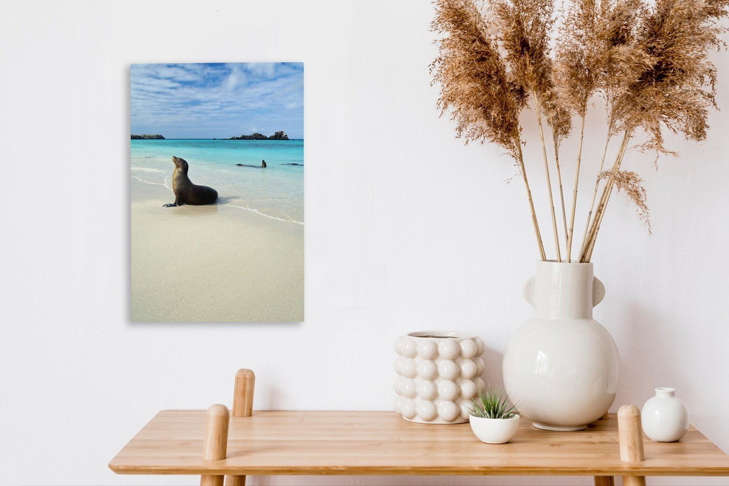 OneMillionCanvasses® Leinwandbild Eine Meerwasser Galapagos-Inseln, Gemälde, Leinwandbild (1 St), der klaren Zackenaufhänger, Robbe inkl. im cm bespannt liegt 20x30 fertig