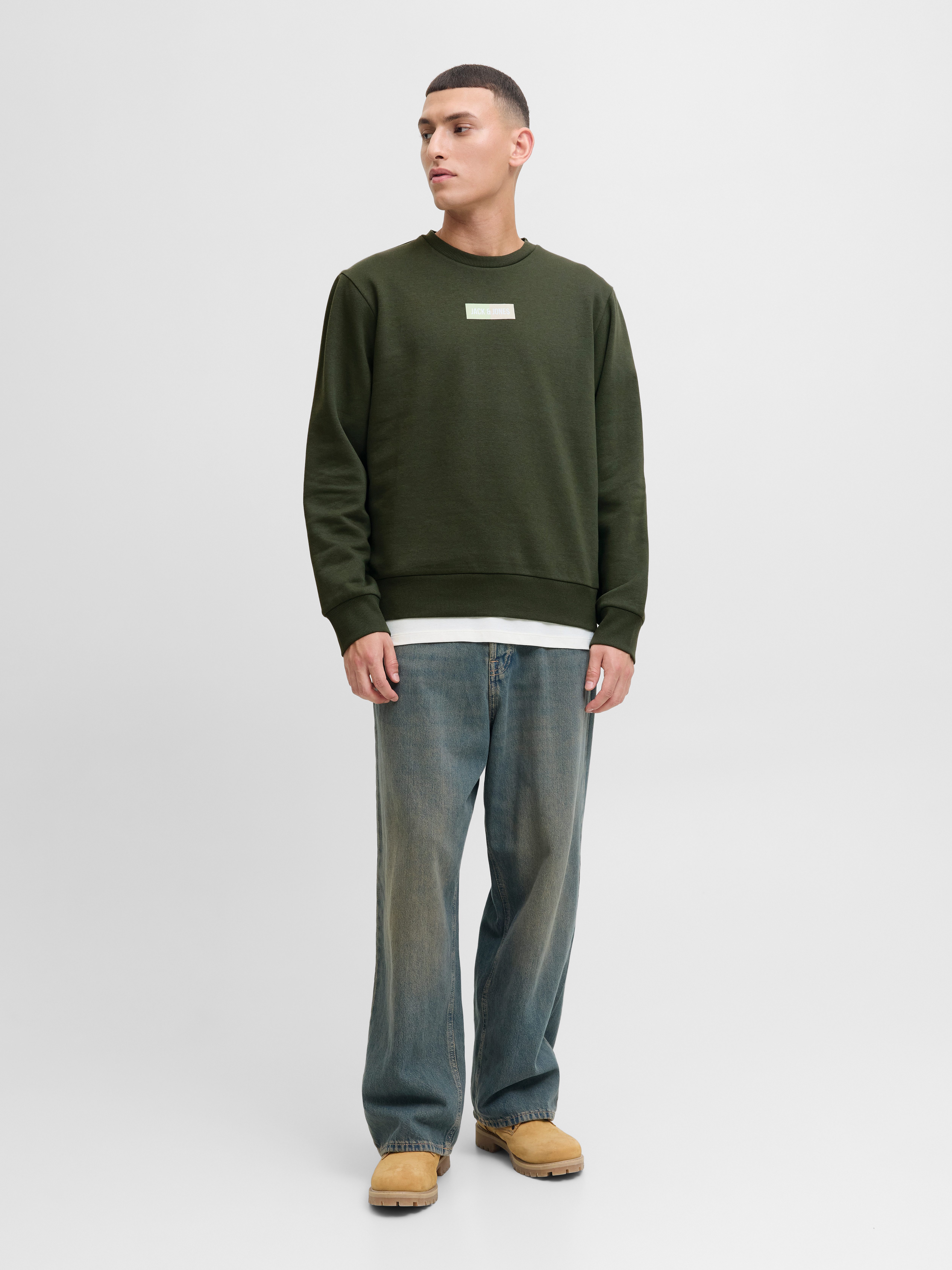 Jack & Jones Sweater JJPAN SWEAT CREW NECK