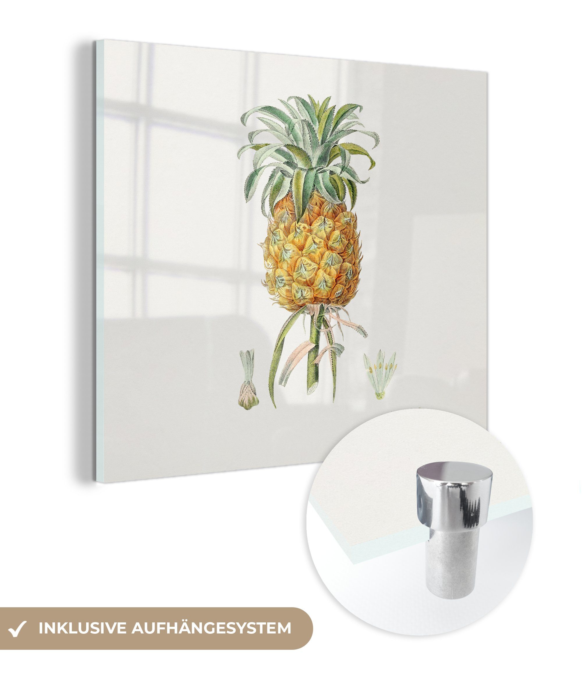 MuchoWow (1 Ananas Wanddekoration Wandbild - Glasbilder St), - Bilder Frucht Acrylglasbild auf Foto Glas - - - Glas Pflanze, auf