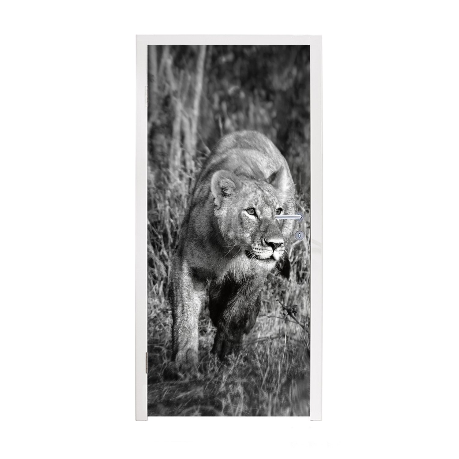MuchoWow Türtapete Löwin - Jagd - Tiere, Matt, bedruckt, (1 St), Fototapete für Tür, Türaufkleber, 75x205 cm