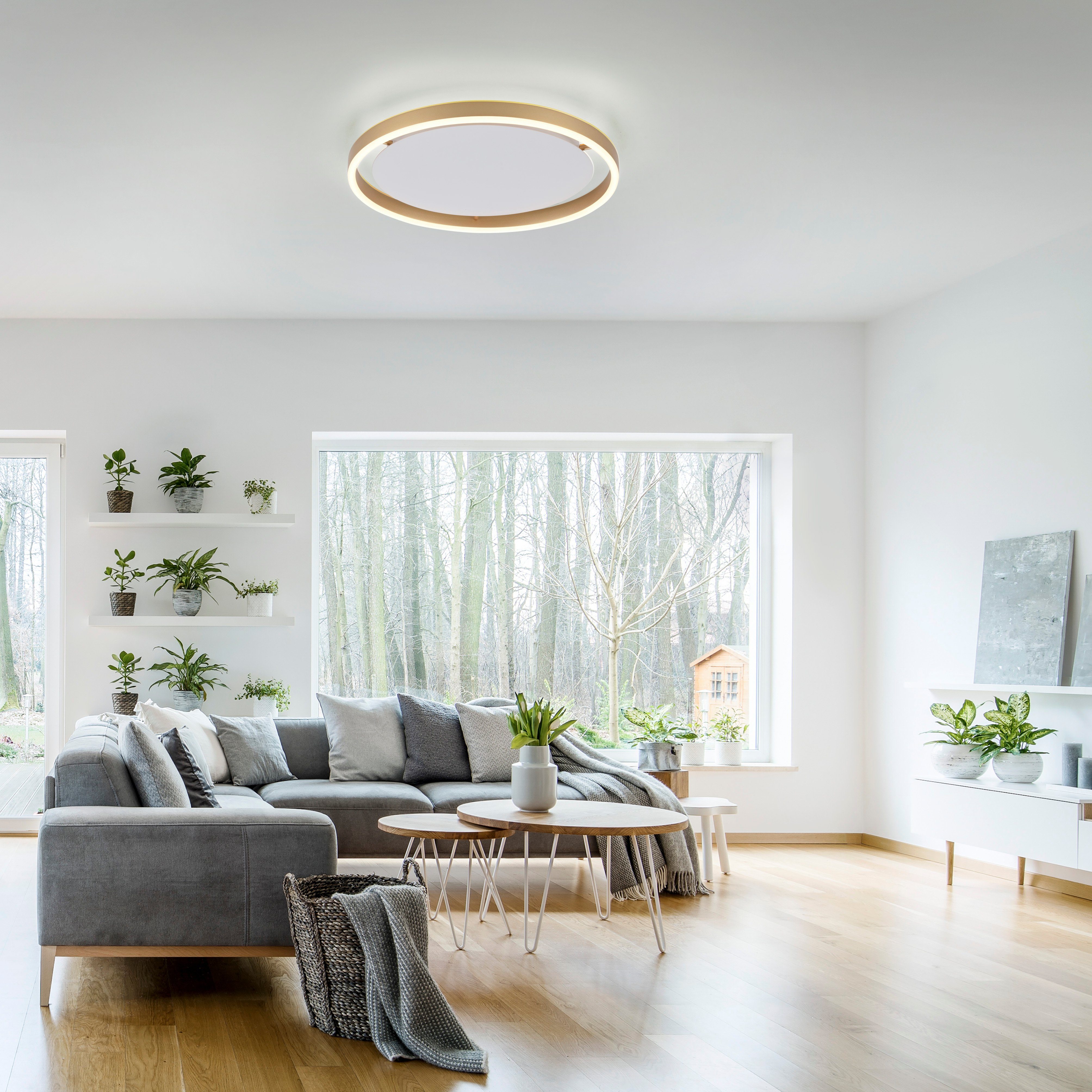 JUST LIGHT Deckenleuchte RITUS, LED fest günstig online kaufen