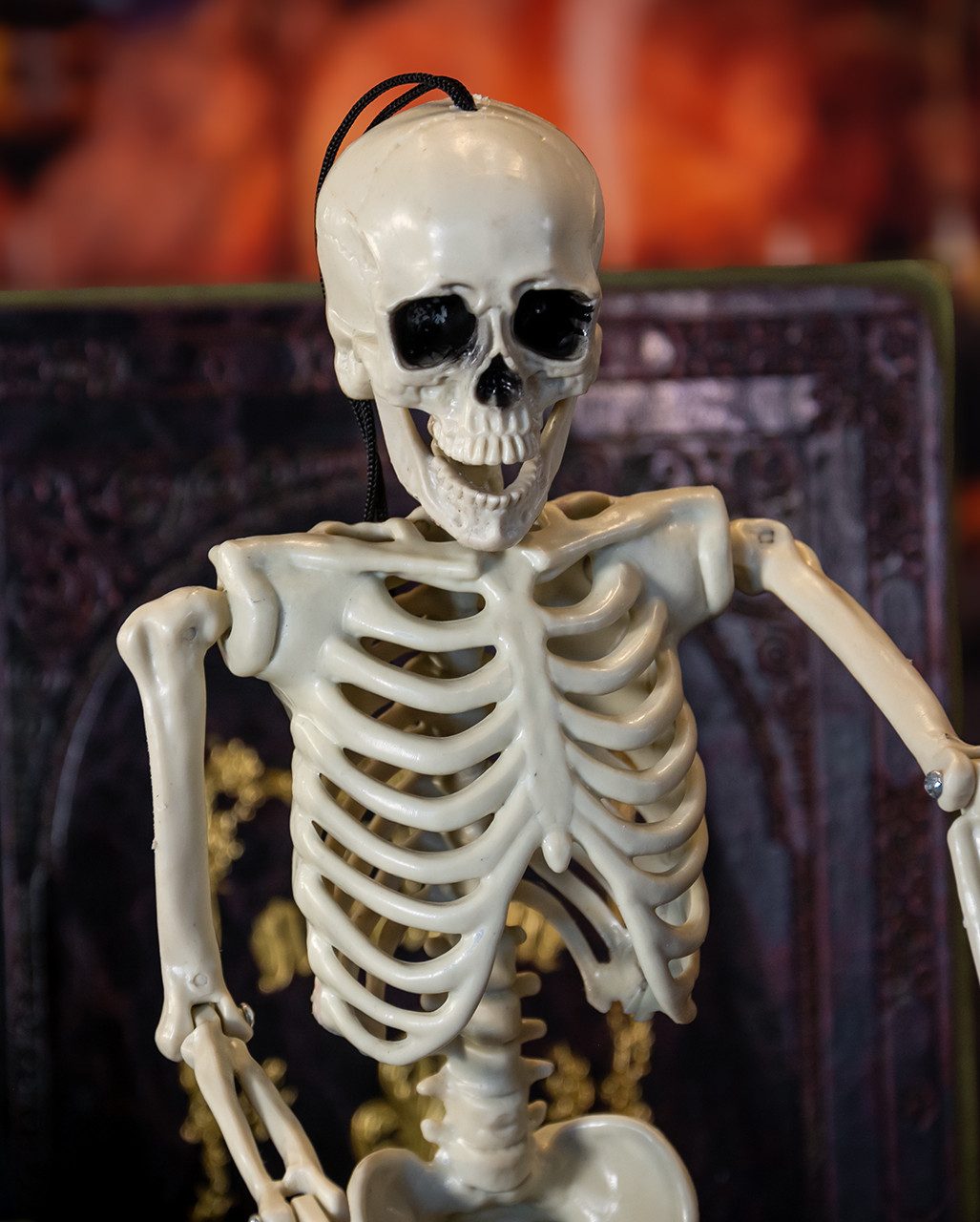 Horror-Shop Dekoobjekt Skelett mit Positionierbaren Gliemaßen 36cm – Bild 5 von 5