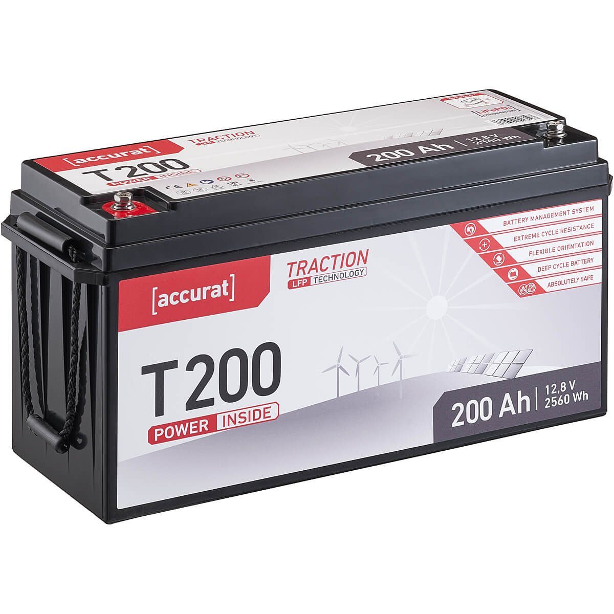 accurat 12V 200Ah LiFePO4 Lithium Batterie für Solaranlagen Batterie, (12 V V)