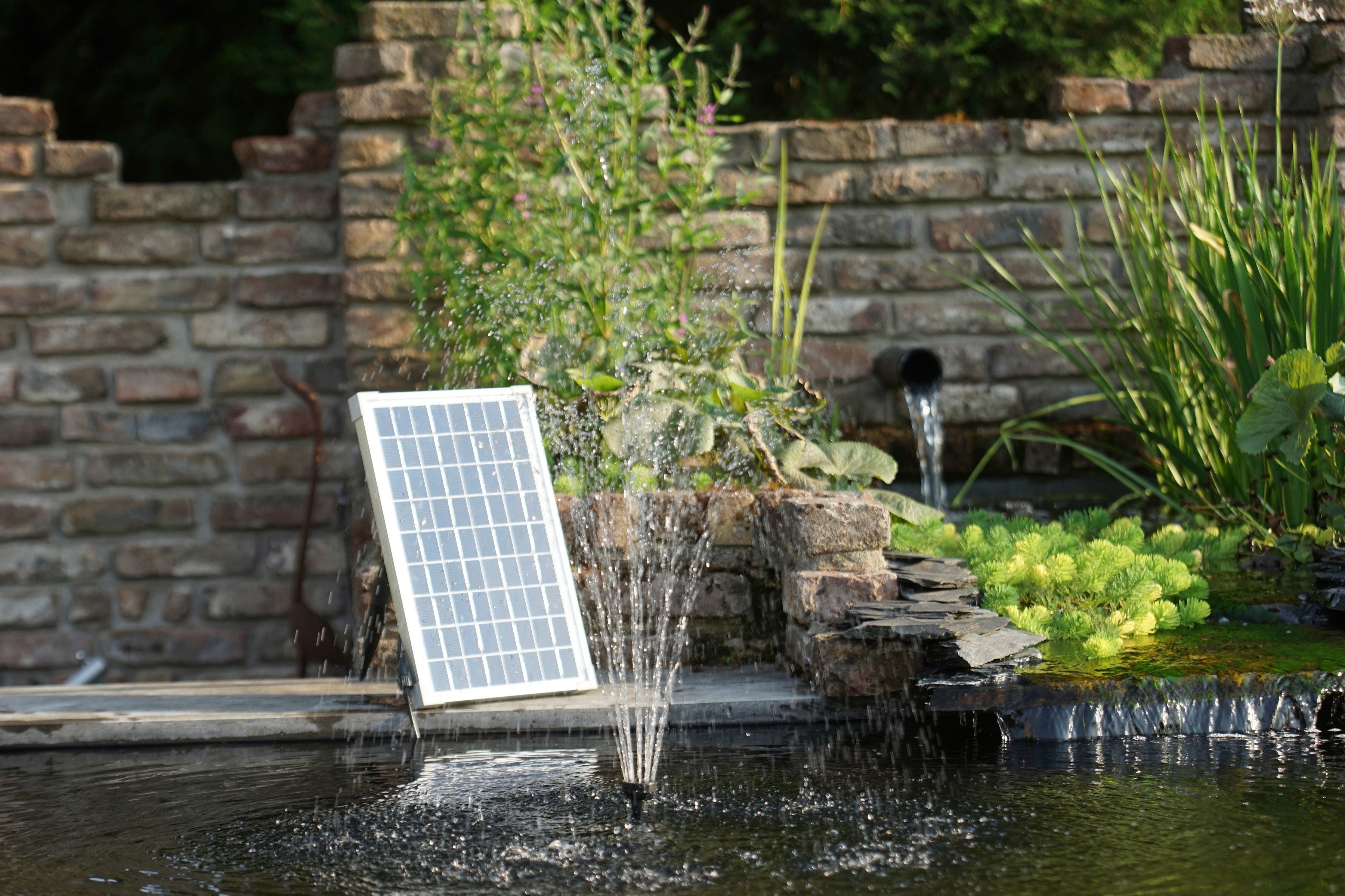 Solar-Teichpumpe online kaufen » Springbrunnenpumpe | OTTO