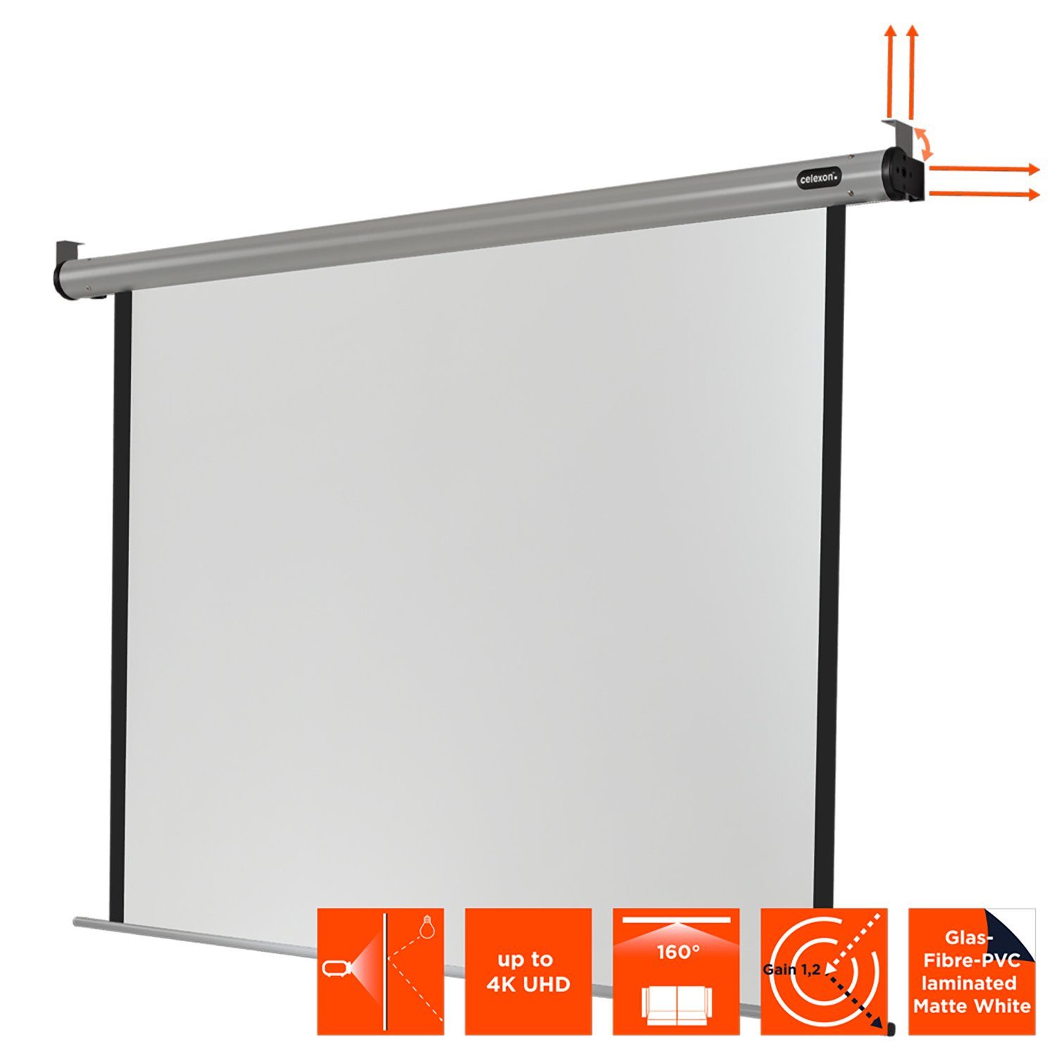 Celexon HomeCinema Motorleinwand (schwarze Rückseite)