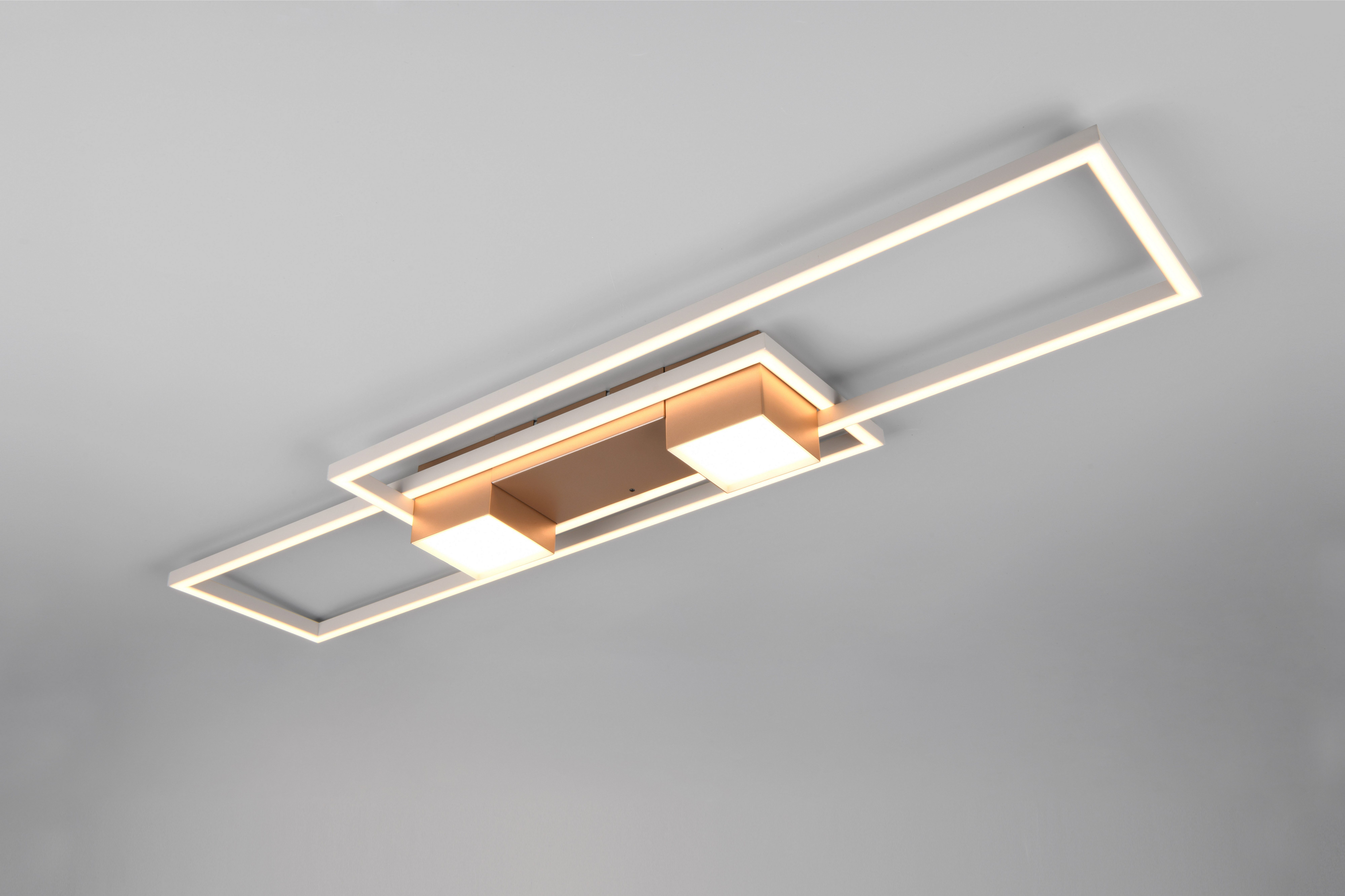 TRIO Leuchten LED Deckenleuchte ALBANY LED günstig online kaufen