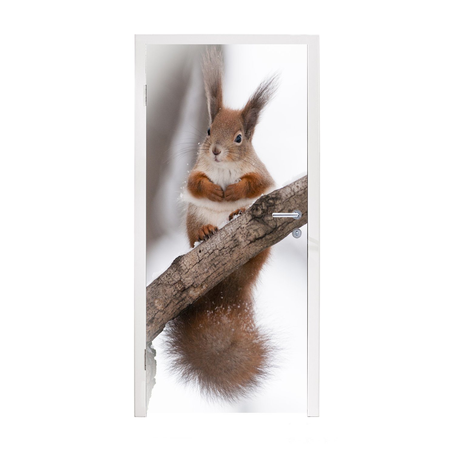 MuchoWow Türtapete Eichhörnchen - Baum - Schneeflocke - Winter, Matt, bedruckt, (1 St), Fototapete für Tür, Türaufkleber, 75x205 cm