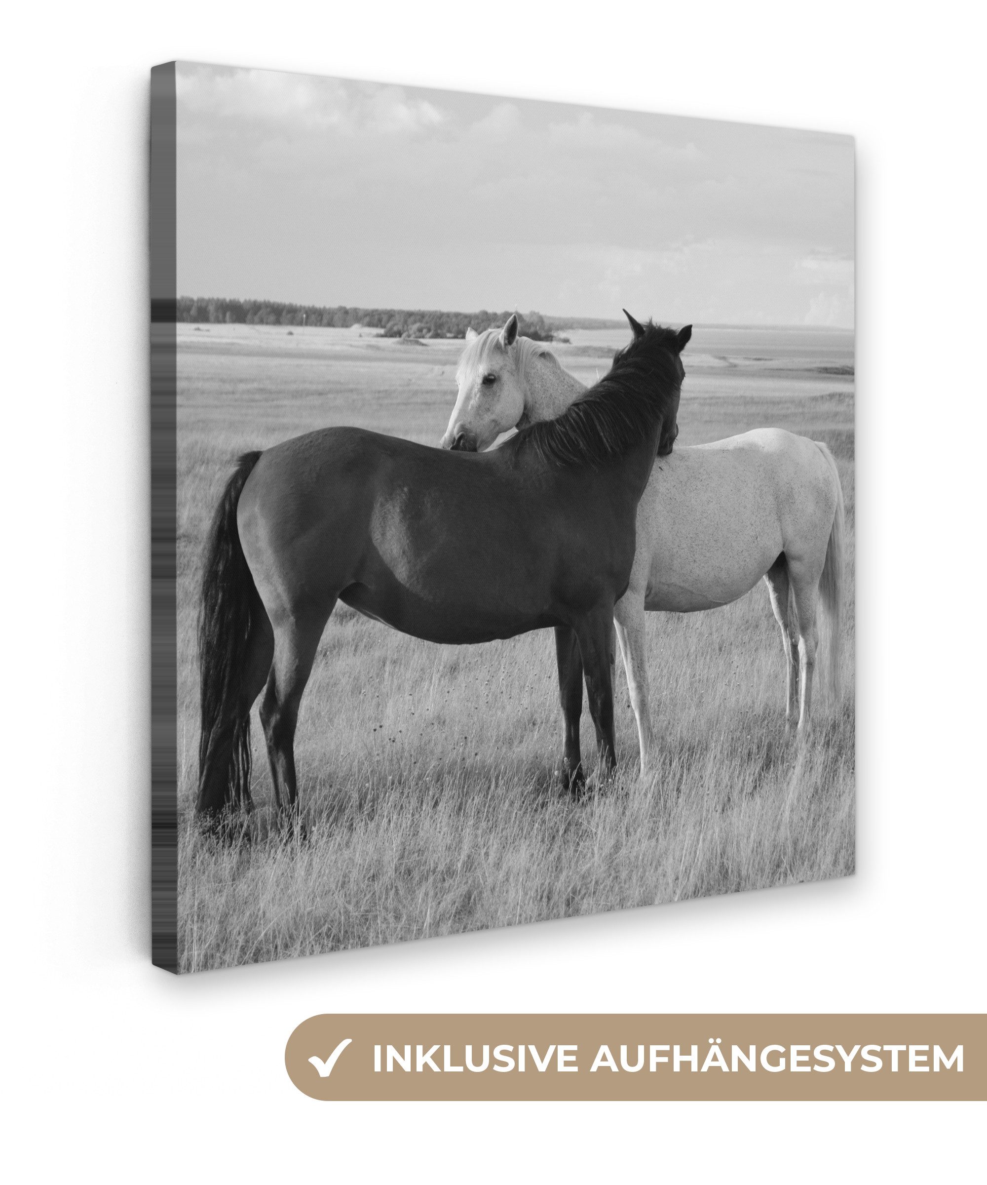OneMillionCanvasses® Leinwandbild Pferde - Tiere - Porträt - Schwarz-Weiß - Landleben, Fotodruck (1 St), Wandbild, Deko Schlafzimmer Wohnzimmer Flur 20x20 cm