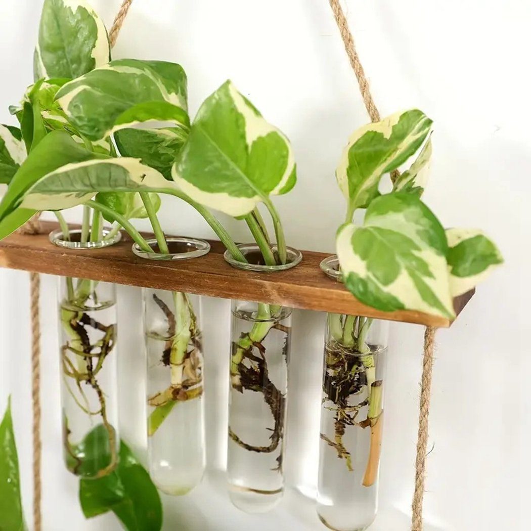 wandmontiertes Pflanzenvermehrungsröhre,2-stöckiges, Blumenständer TUABUR Pflanzenterrarium Holzfarbe