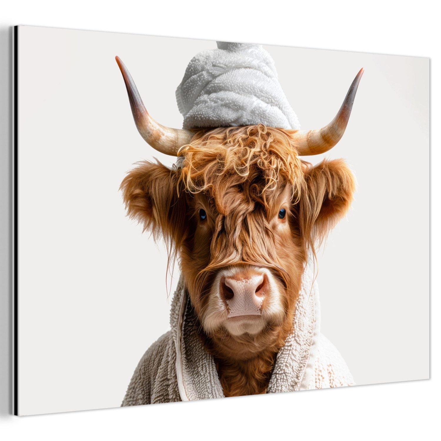 MuchoWow Metallbild Schottischer Highlander - Bademantel - Kuh - Tiere, Inkl. Aufhängung, Metallbilder Badezimmer, Toilette Bilder aus Metall, 120x80 cm
