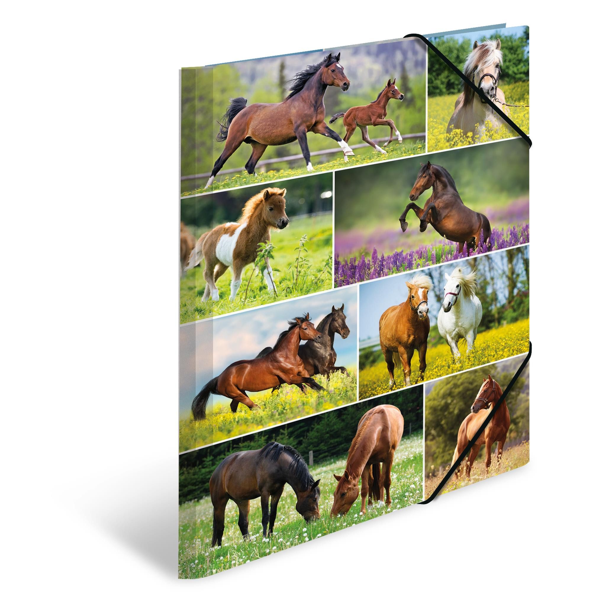 HERMA Organisationsmappe Herma Sammelmappe Eckspanner Karton A3 Pferdewiese