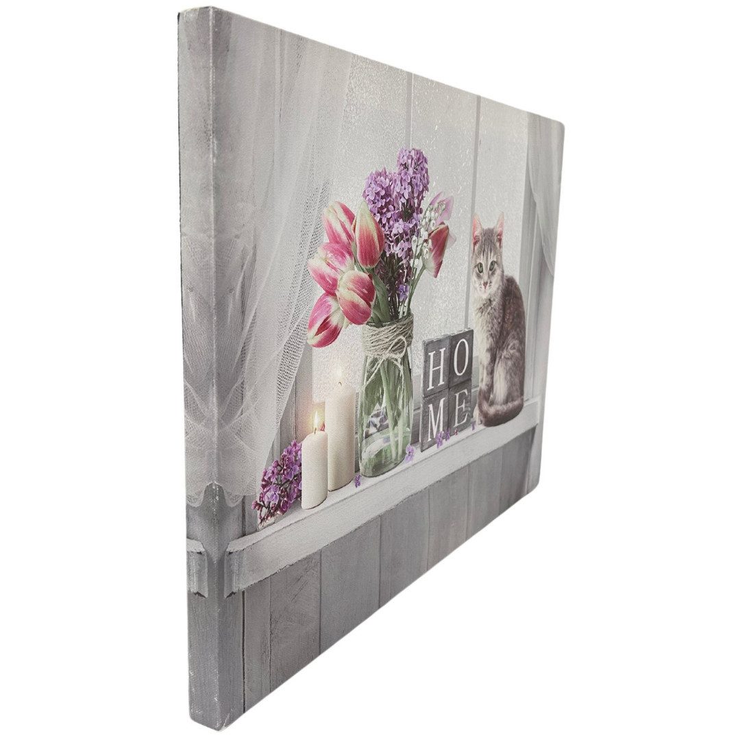 abc HOME Wandbild mit Beleuchtung, Katze, LED, Katze am Fenster günstig online kaufen