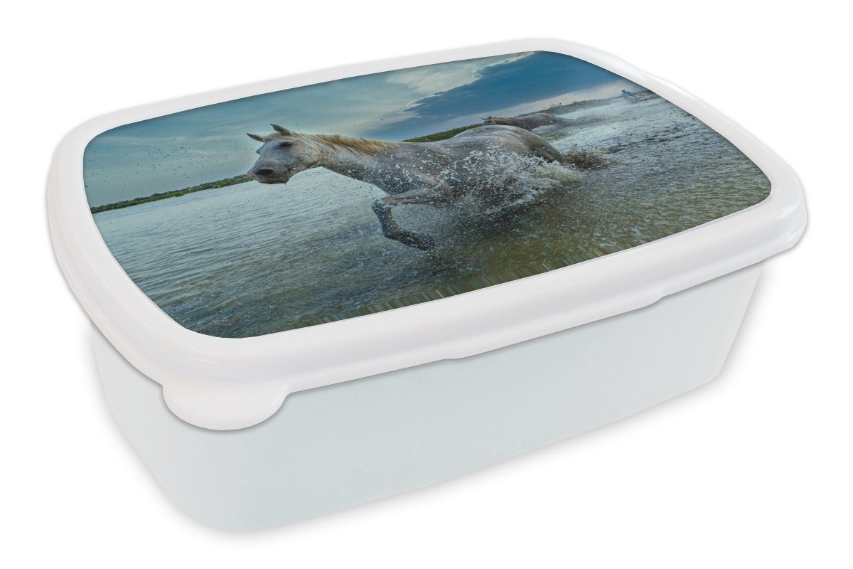 MuchoWow Lunchbox Pferd - Wasser - Tropfen, Kunststoff, (2-tlg), Brotbox für Kinder und Erwachsene, Brotdose, für Jungs und Mädchen weiß
