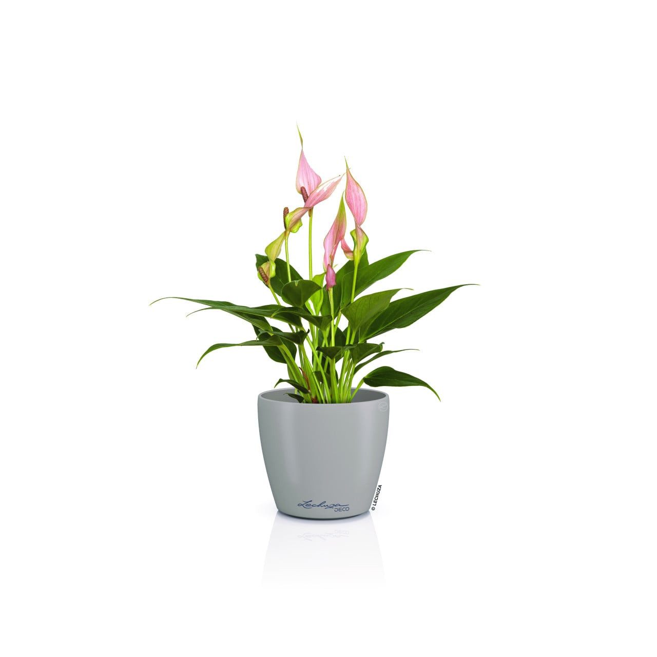 Lechuza® Blumentopf Lechuza Pflanztopf Deco 10 Ø 11,1 x 10 cm