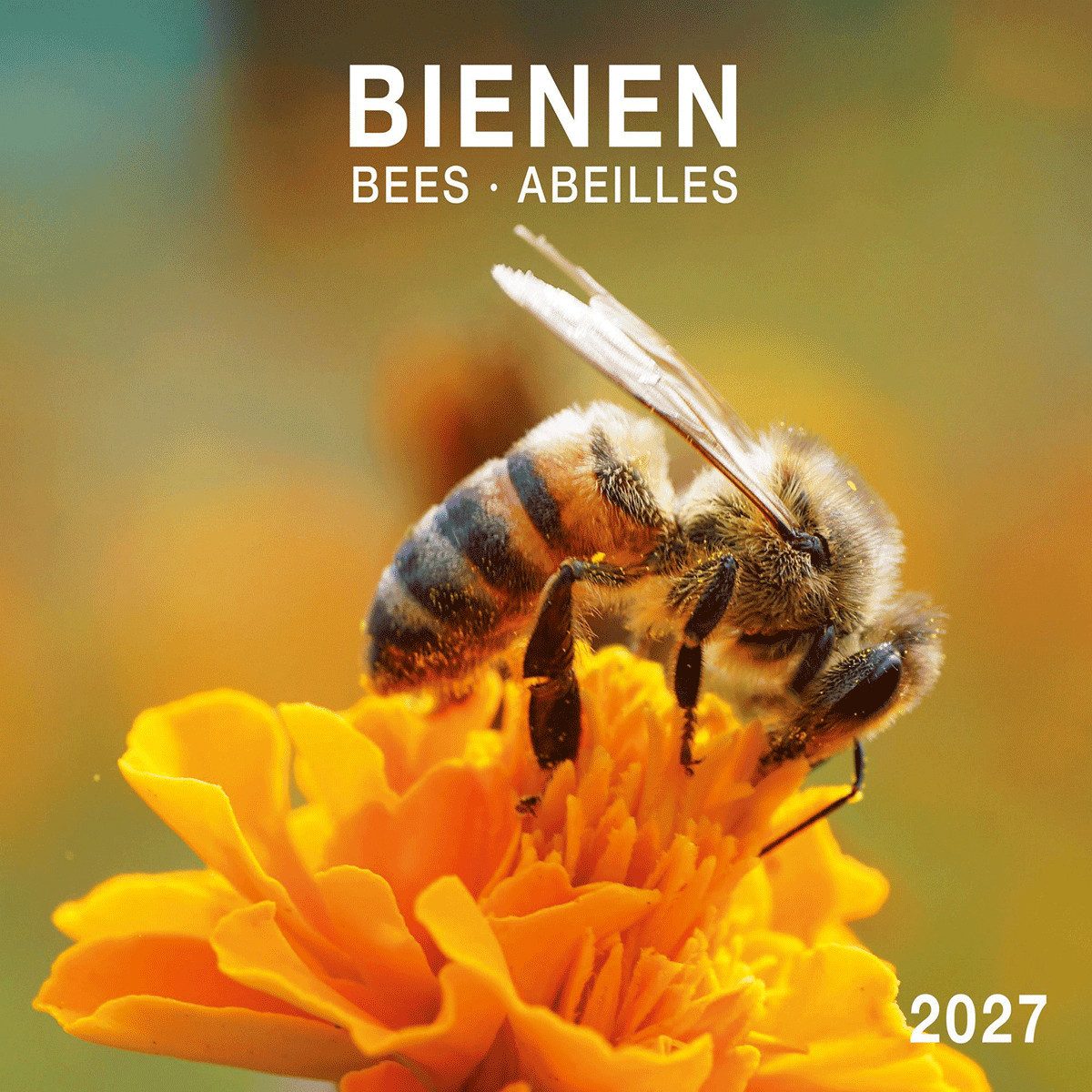 Wandkalender Bienen / Bees 2027: Kalender 2027 (Artwork Edition)