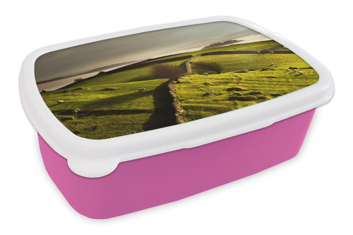 MuchoWow Lunchbox Steinmauern in der irischen Landschaft, Kunststoff, (2-tlg), Brotbox für Erwachsene, Brotdose Kinder, Snackbox, Mädchen, Kunststoff rosa