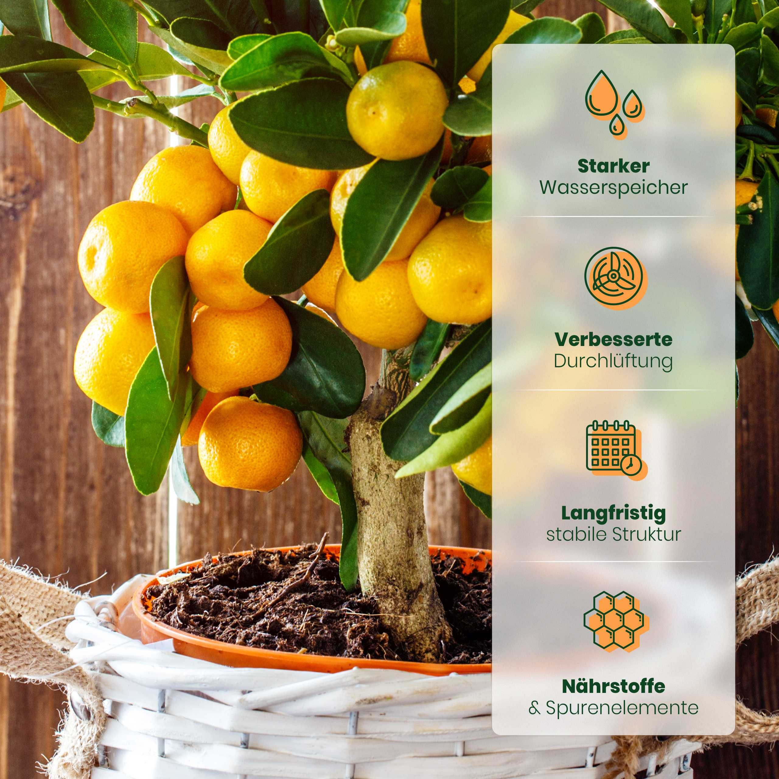 Meine Orangerie Spezialerde Zitruserde und mediterrane Pflanzenerde, mit hochwertigem Mehrnährstoffdünger, (Pflanzerde für anspruchsvolle mediterrane Kübelpflanzen), 10 Liter