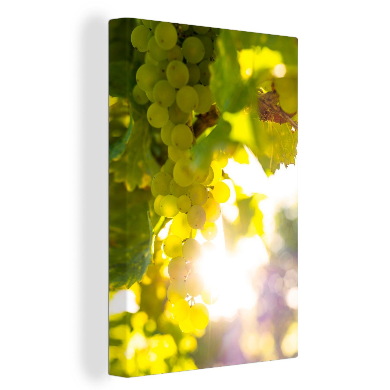 OneMillionCanvasses® Leinwandbild An einem Baum hängende Weintrauben, (1 St), Leinwandbild fertig bespannt inkl. Zackenaufhänger, Gemälde, 20x30 cm