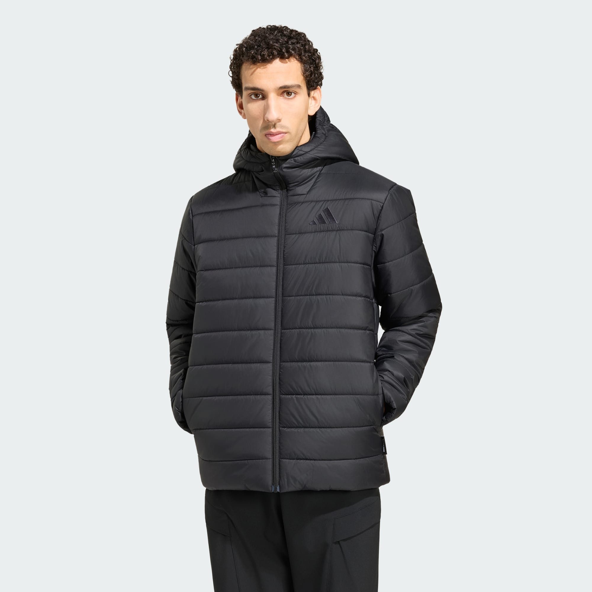 adidas TERREX Funktionsjacke (1-St)
