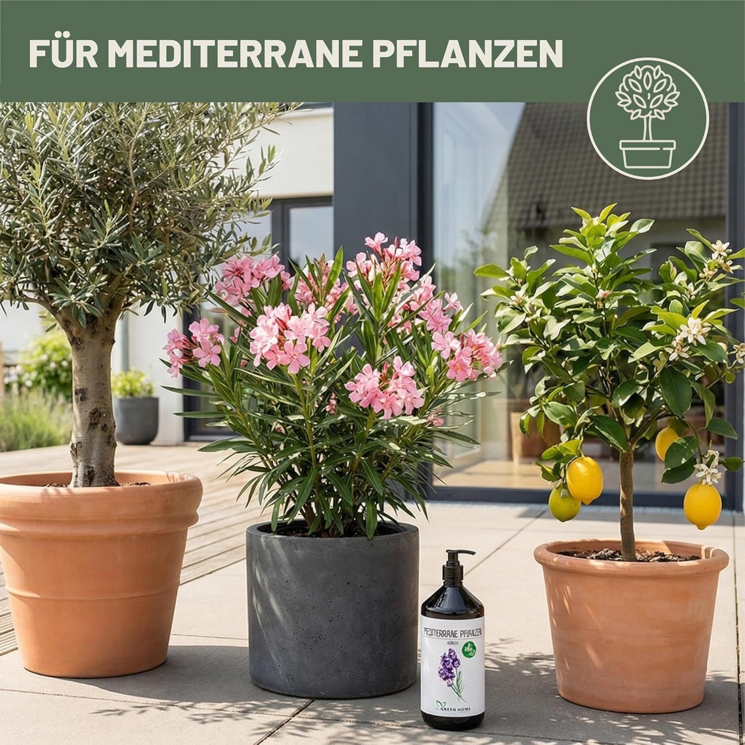 GREEN HOME LOVE NATURE Pflanzendünger Flüssigdünger NPK 7+3+5 für mediterrane Pflanzen, Oliven & Zitrus, Mediterrane Pflanzen, NPK 7+3+5, Spurennährstoffe, chelatiert, Dosierpumpe