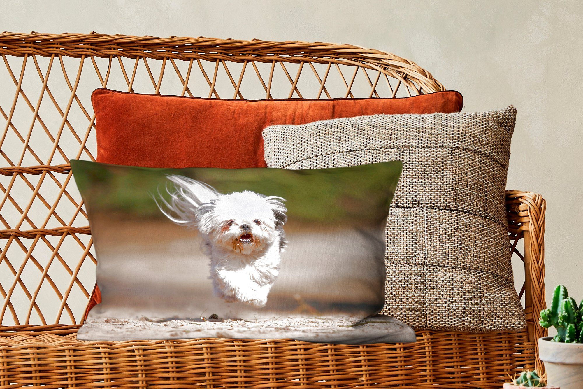 Tzu Hund Dekoration, Schlafzimmer mit Füllung, Dekokissen mit dem Wohzimmer Boden, Ein Shih Dekokissen Beinen seinen Zierkissen, schwebt über MuchoWow