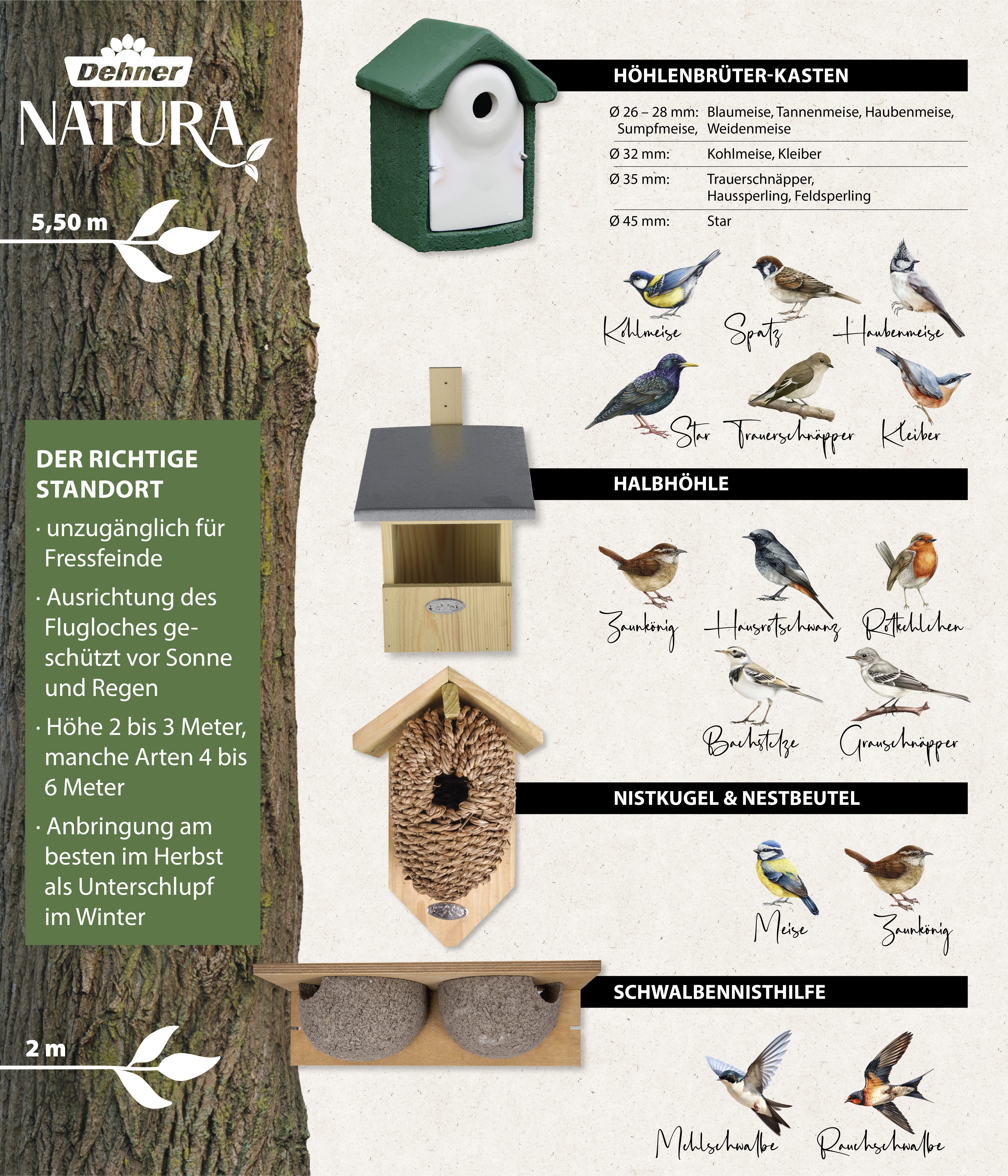 Dehner Nistkasten Natura Premium Lene, zum Hängen, sicherer Brutplatz für Vögel aus FSC®-zertifiziertem Kiefernholz