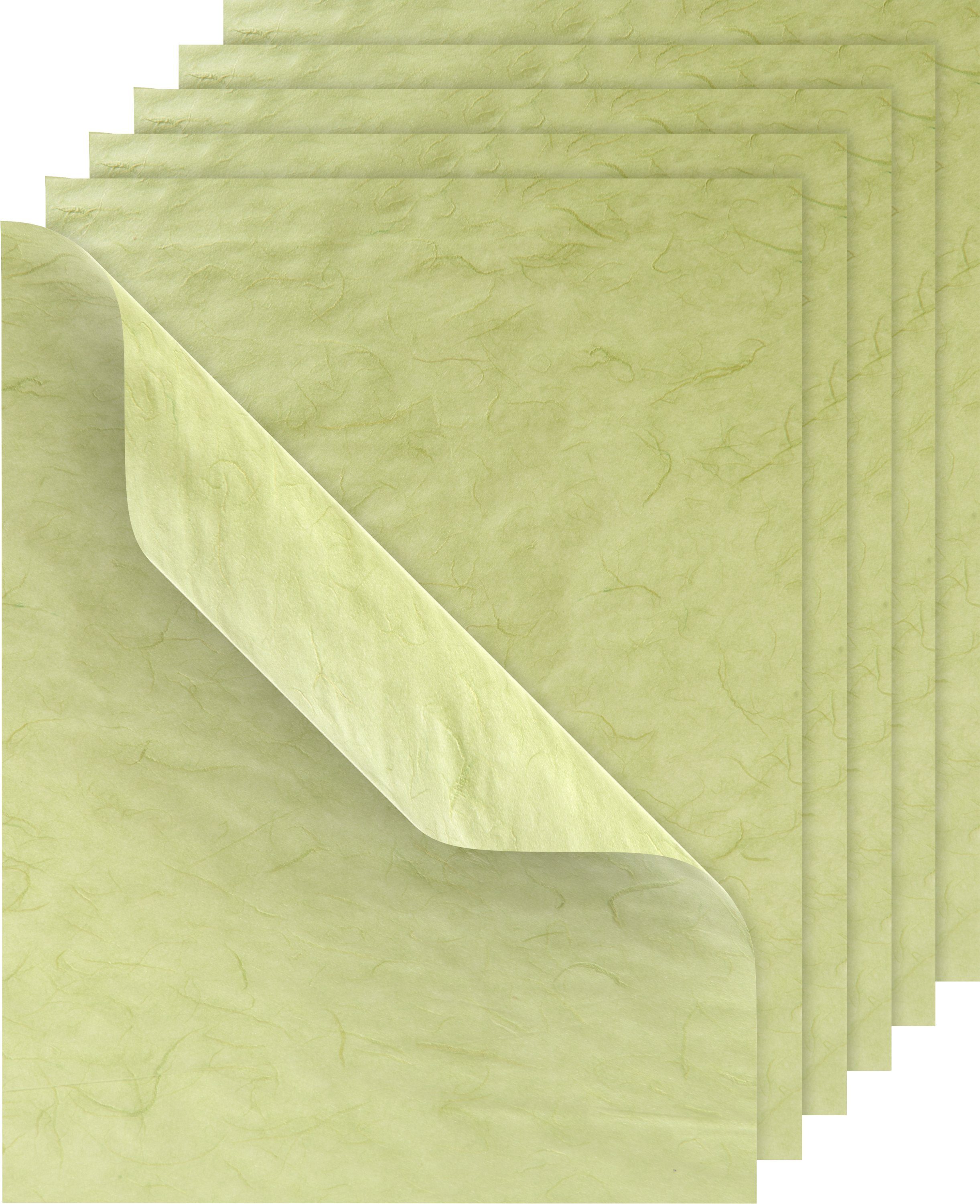 VBS Seidenpapier Strohseide, 50 x 70 cm, 6 Bögen Hellgrün