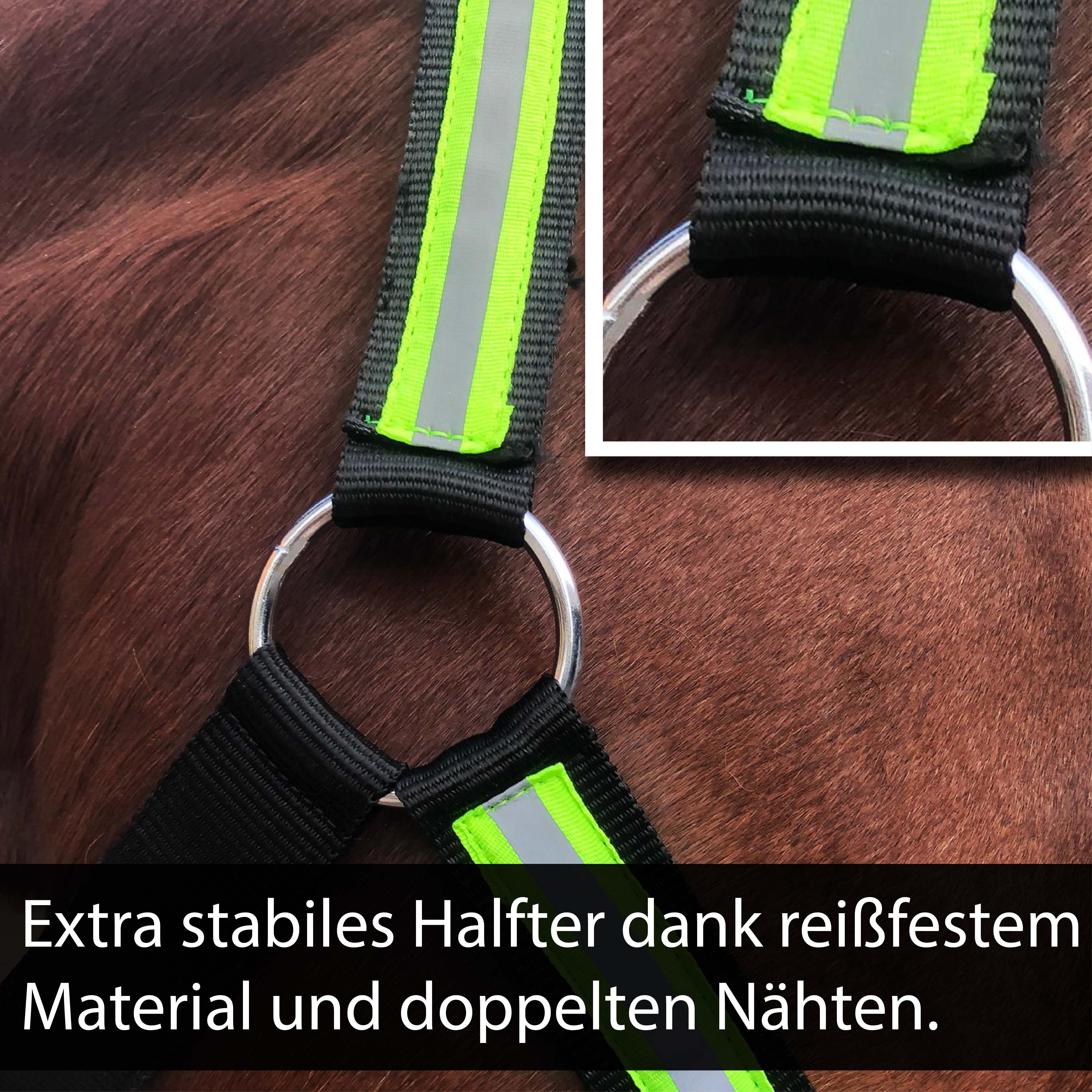 Pferdelinis Halfter Halfter für Pferde Reflexartikel, Kaltblut Sichtbarkeit, Reflexhalfter verstellbar