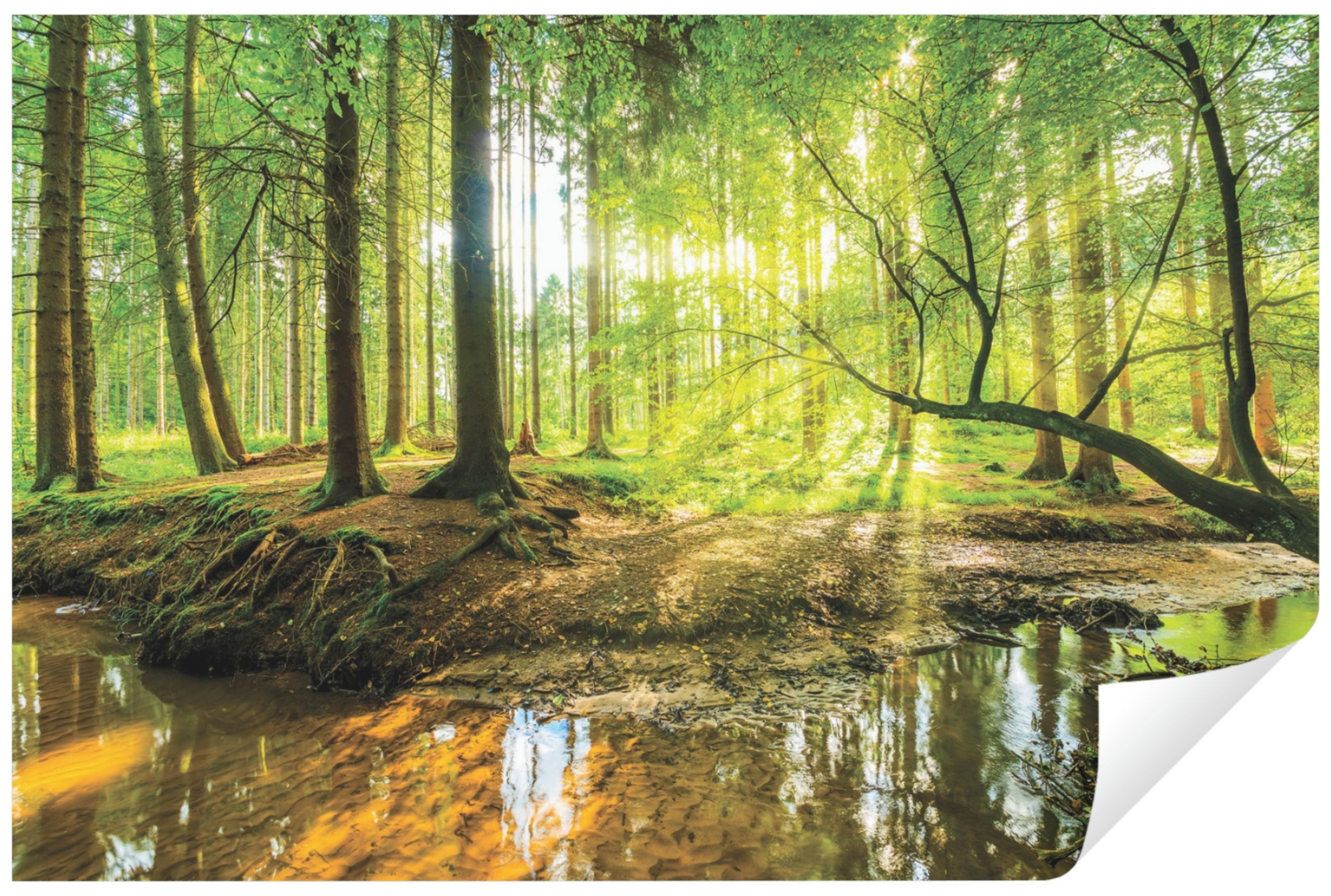 Wallarena Fototapete Wald Grün Natur 3D EFFEKT Landschaft Wohnzimmer Schlaf günstig online kaufen