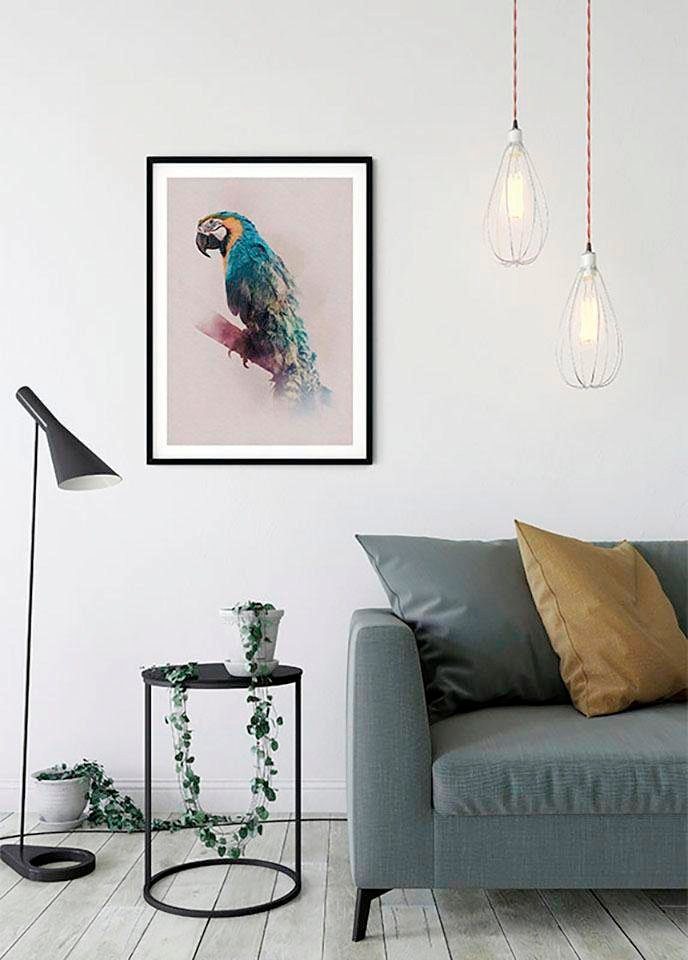 Komar Poster Animals Paradise Parrot, Tiere (1 St), Kinderzimmer,  Schlafzimmer, Wohnzimmer