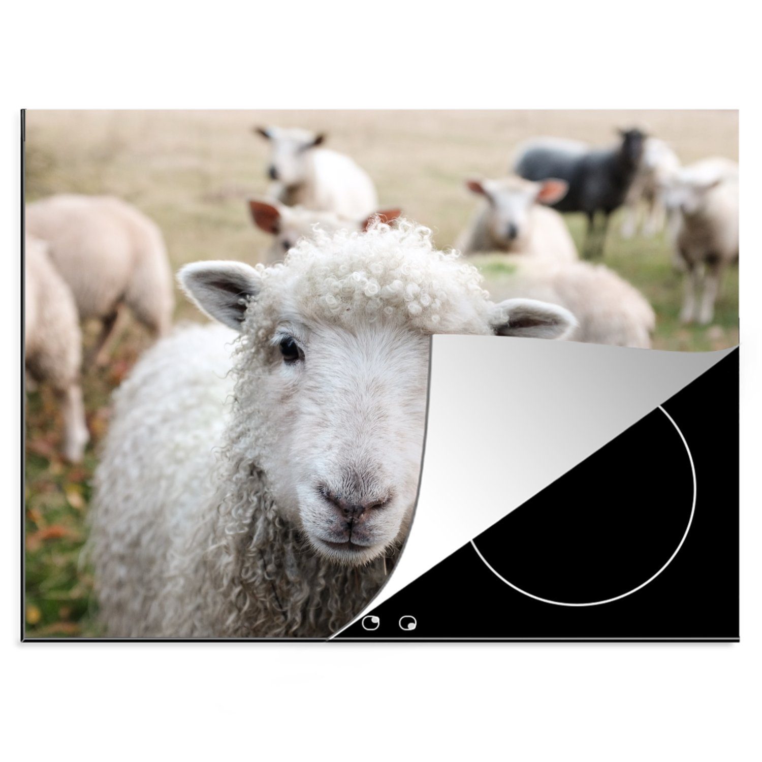 MuchoWow Herdblende-/Abdeckplatte Tiere - Schafe - Bauernhof, Vinyl, (1 tlg), 70x52 cm, Mobile Arbeitsfläche nutzbar, Ceranfeldabdeckung | Herdabdeckplatten