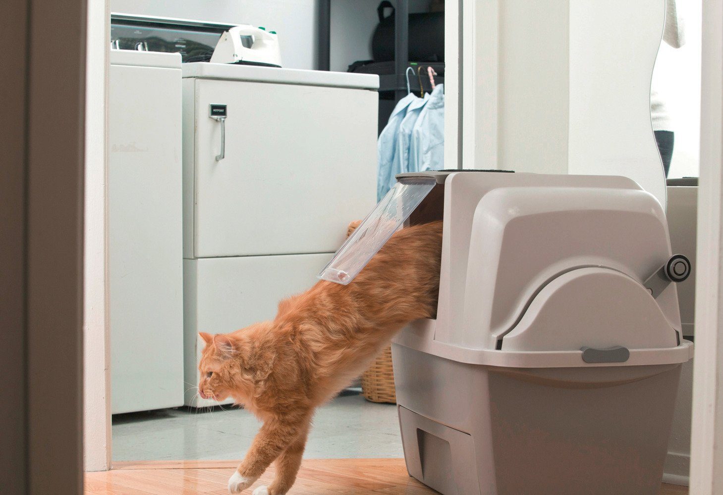 catit de smartsift