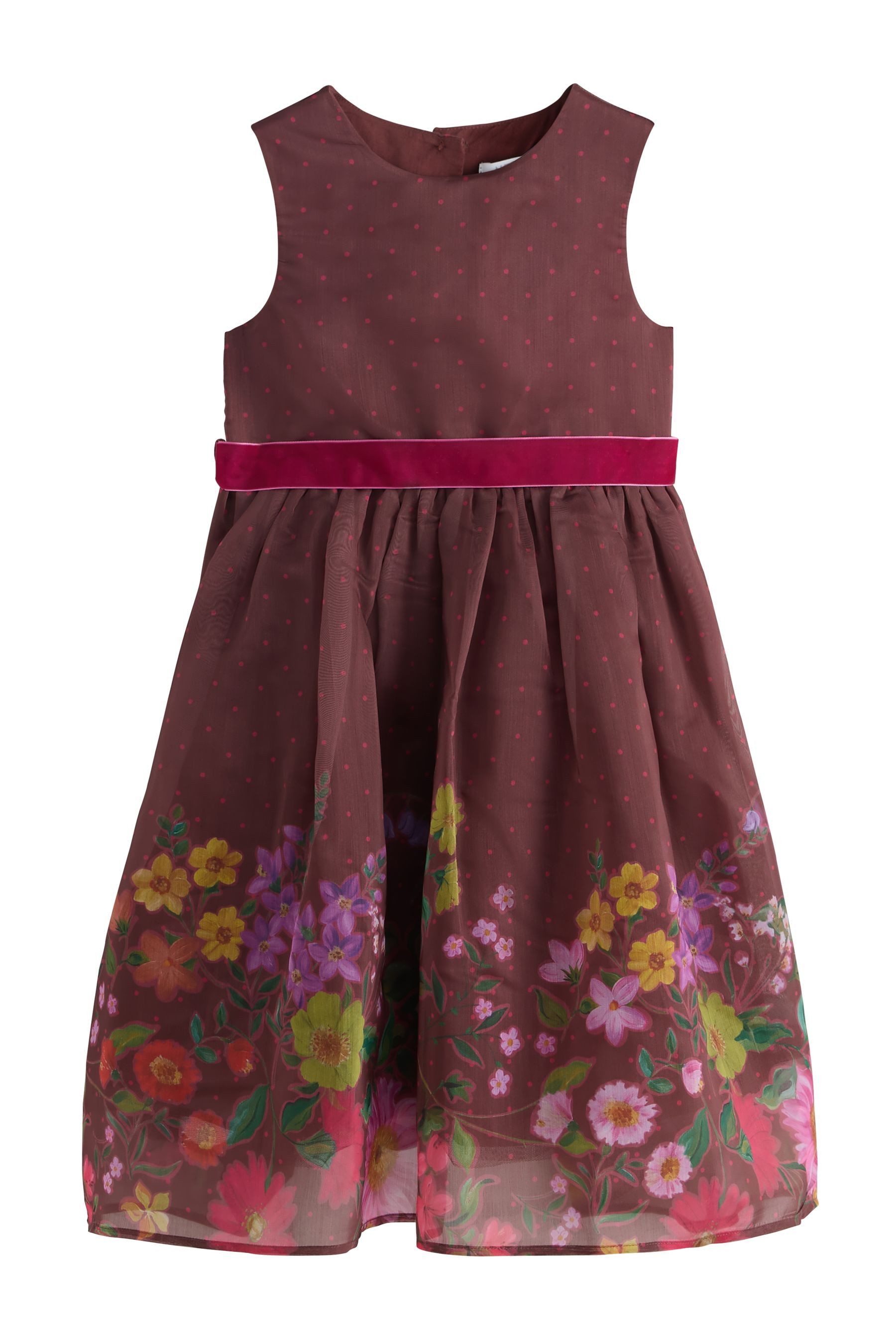 Next Tüllkleid Festliches Kleid mit floralem Muster (1-tlg)