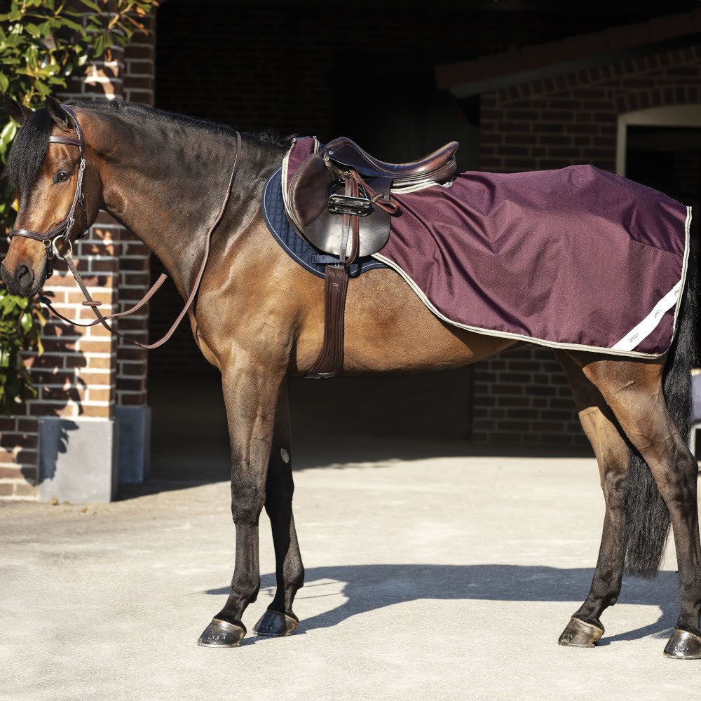 Horseware Ausreitdecke Horseware Amigo Ripstop Competition Sheet - Fig/Navy