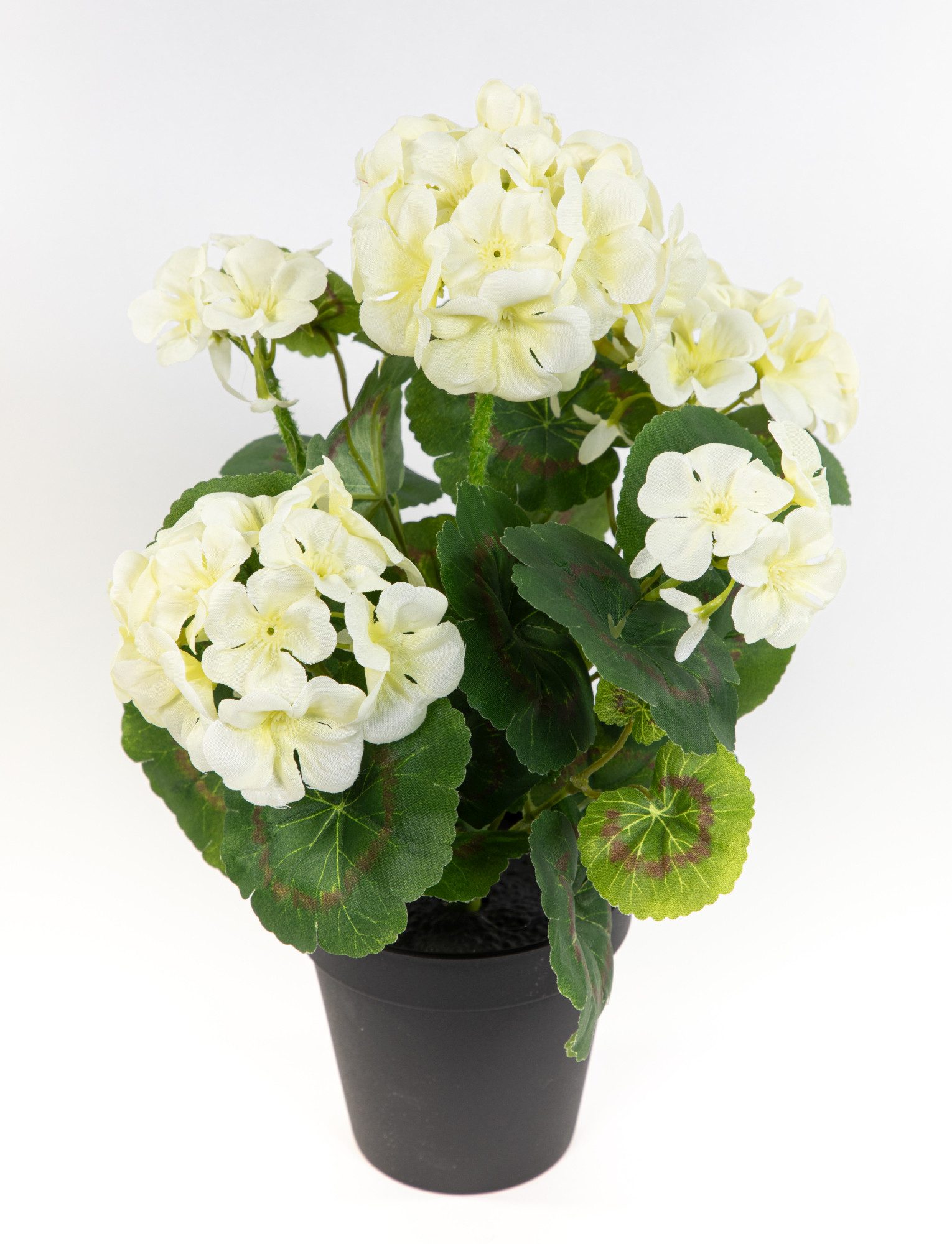 Kunstblume Geranie im Topf 34cm LM Kunstpflanzen künstliche Blumen Pflanzen Pelargonium, Seidenblumen Roß, Höhe 34 cm, Weiß