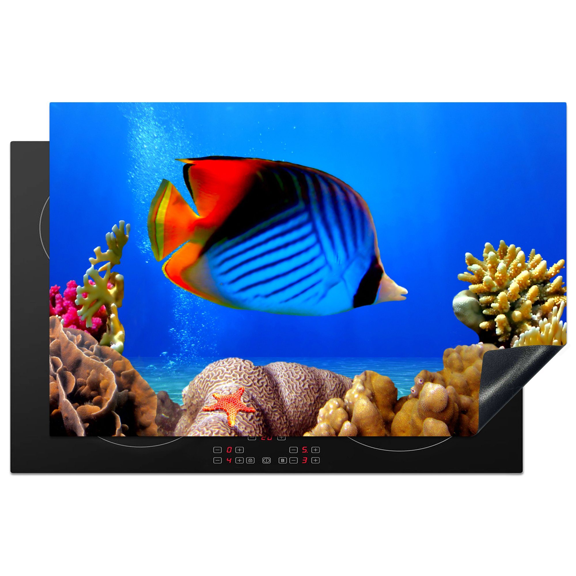 MuchoWow Herdblende-/Abdeckplatte Ägypten - Fische - Korallen, Vinyl, (1 tlg), 81x52 cm, Induktionskochfeld Schutz für die küche, Ceranfeldabdeckung